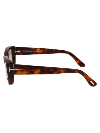 Shop Tom Ford Sunglasses In 52e Brown