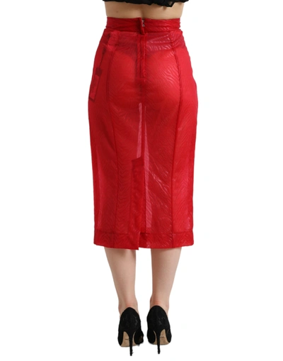 Shop Dolce & Gabbana Chic Red High Waist Sheer Midi Women's Skirt