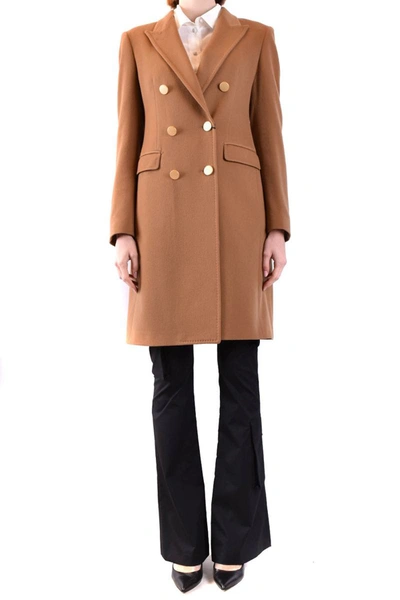 Shop Tagliatore Coats In Beige