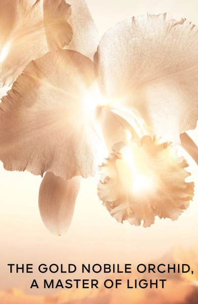 Guerlain Orchidee Imperiale Gold Nobile The Cream Refill 1.7 Oz. In Refill