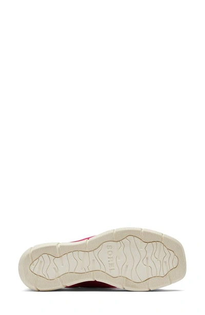 Shop Sorel Joanie Iii Slingback Wedge Sandal In Fuchsia Fizz/ Chalk