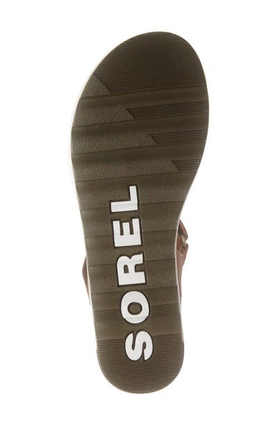 Shop Sorel Cameron Wedge Sandal In Velvet Tan