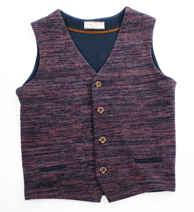 Luchiano Visconti Purple Heather Knit Vest In Multi