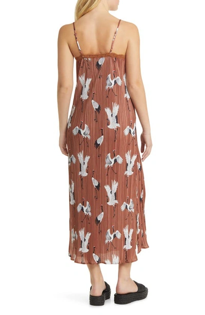 Dressed In Lala Dressed In Eternal Youth