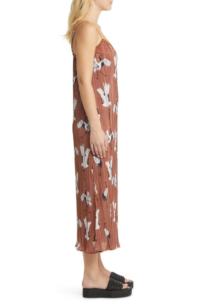 Dressed In Lala Dressed In Eternal Youth