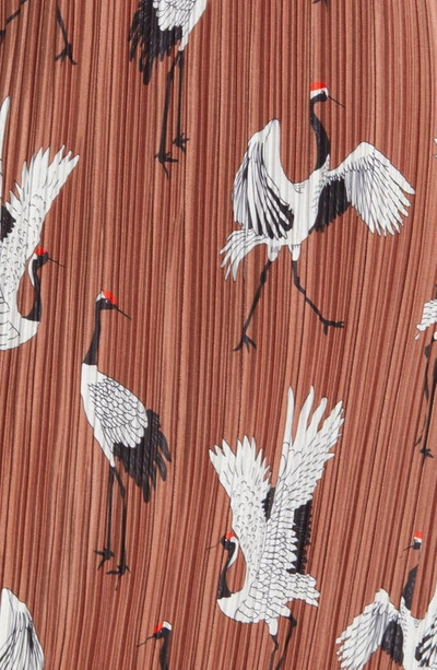 Dressed In Lala Dressed In Eternal Youth