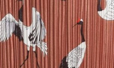 Dressed In Lala Dressed In Eternal Youth