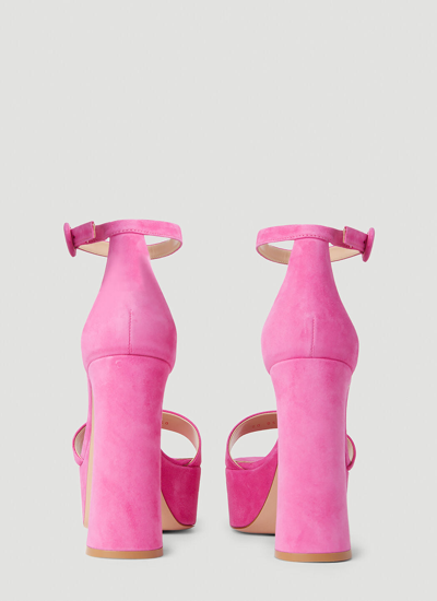 Shop Gianvito Rossi Women Holly High Heel Sandals In Pink