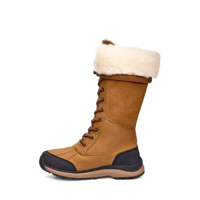 Pre-owned Ugg Women's W Adirondack Boot Tall Iii Snow 1905142 Chestnut, 8 M Us In Brown