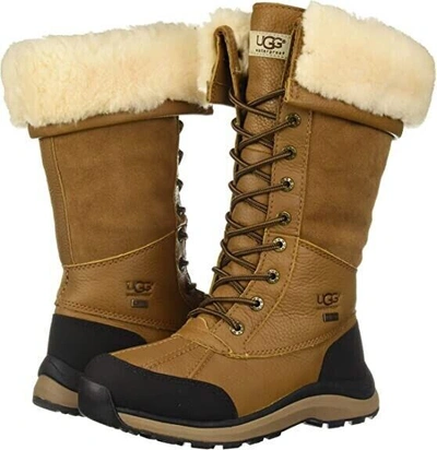 Pre-owned Ugg Women's W Adirondack Boot Tall Iii Snow 1905142 Chestnut, 8 M Us In Brown