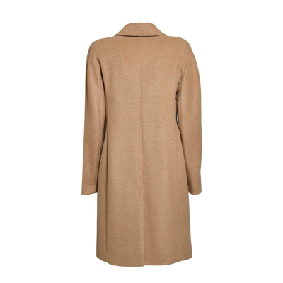 Shop Max Mara Bingo Belted Long-sleeved Coat In Cammello