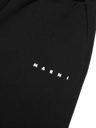 Shop Marni Black Cotton Shorts In Nero