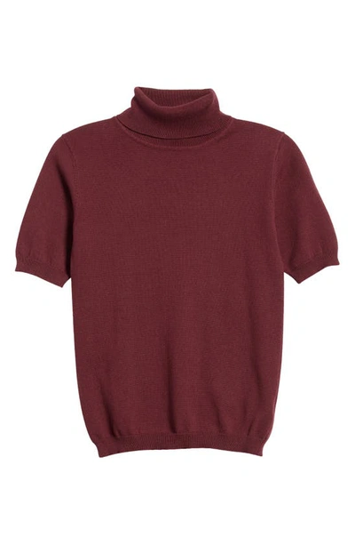 Shop Vigoss Turtleneck Sweater In Mulberry