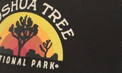 Shop American Needle Joshua Tree National Park Snapback Cap In Black