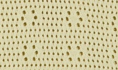 T Tahari Crochet Polo Sweater In Pale Sage