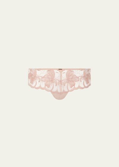 Shop Chantelle Fleur Floral-embroidered Lace Hipster Briefs In Sugar
