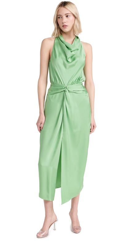 Ramy Brook Azalea Poplin Maxi Dress In Mineral Green