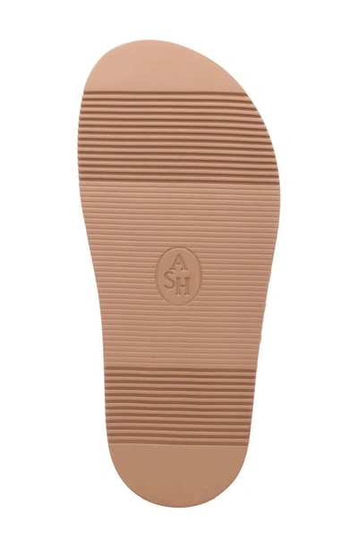 Ash Ursula Slingback Sandal In Skin