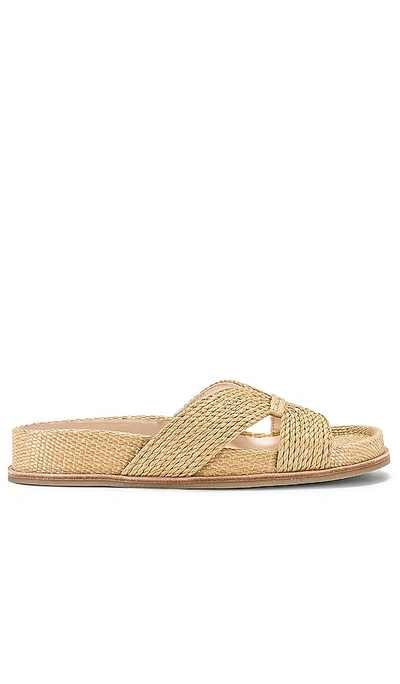 Dolce Vita Selda Raffia Slide Sandal In Light Natural