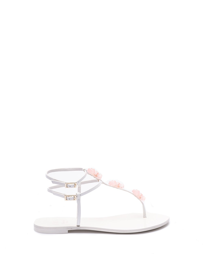 Shop Alevì Milano `jelly` Sandals In White