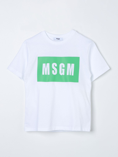 T恤 MSGM KIDS 儿童 颜色 白色