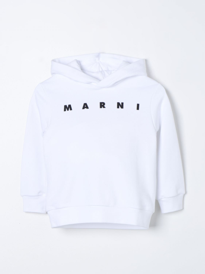 Shop Marni Sweater  Kids Color White