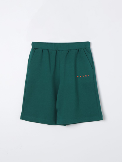 Shop Marni Pants  Kids Color Green