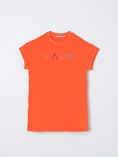 Shop Marni Dress  Kids Color Orange