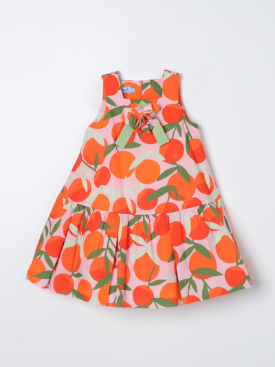 Shop Mi Mi Sol Dress  Kids Color Multicolor