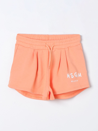 Shop Msgm Short  Kids Kids Color Orange