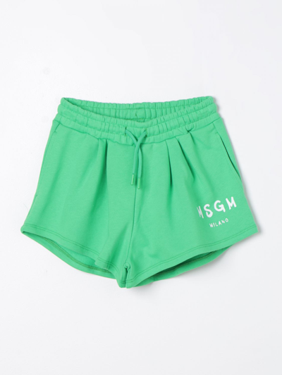 Shop Msgm Short  Kids Kids Color Green