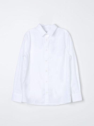 Shop Dolce & Gabbana Shirt  Kids Color White
