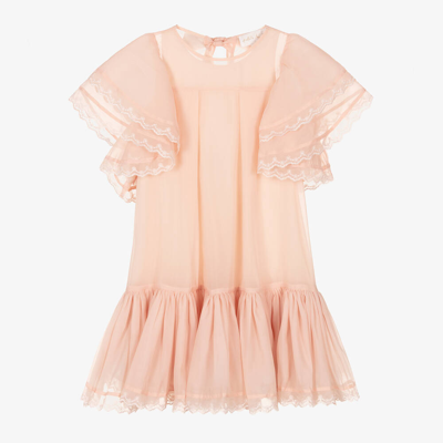 Shop Petite Amalie Girls Coral Pink Organza Dress