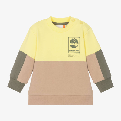 Shop Timberland Boys Yellow Cotton Colourblock Sweatshirt