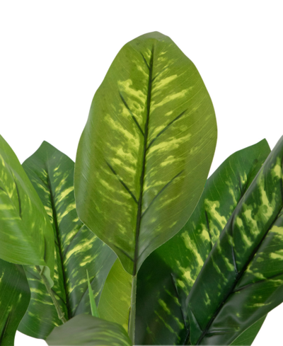 Shop Northlight 59" Artificial Wide Leaf Dieffenbachia Potted Plant In Green