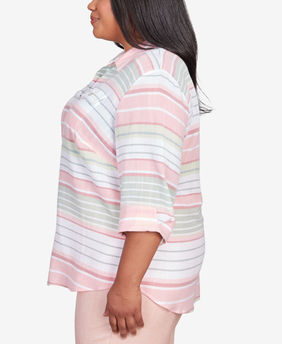 Shop Alfred Dunner Plus Size English Garden Stripe Split Sleeve Button Down Shirt In Multi