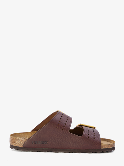 Shop Birkenstock Arizona Bold Sandals In Brown