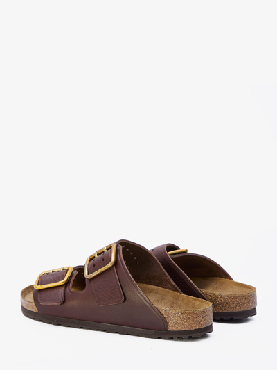 Shop Birkenstock Arizona Bold Sandals In Brown