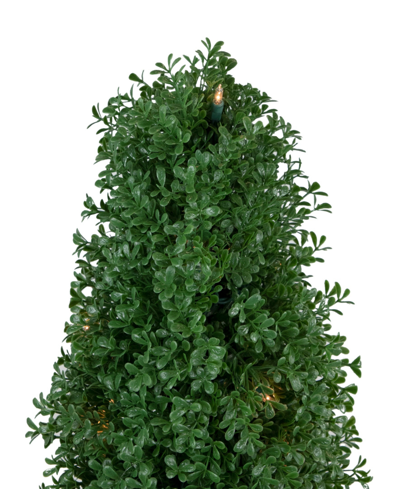 Shop Northlight 4' Pre-lit Artificial Boxwood Cone Topiary Tree With Round Pot Clear Lights In Green