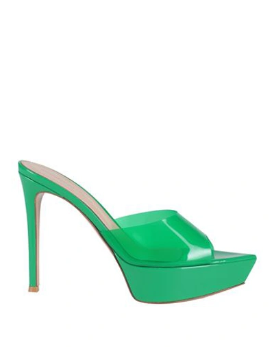 Shop Gianvito Rossi Woman Sandals Green Size 6.5 Rubber, Soft Leather