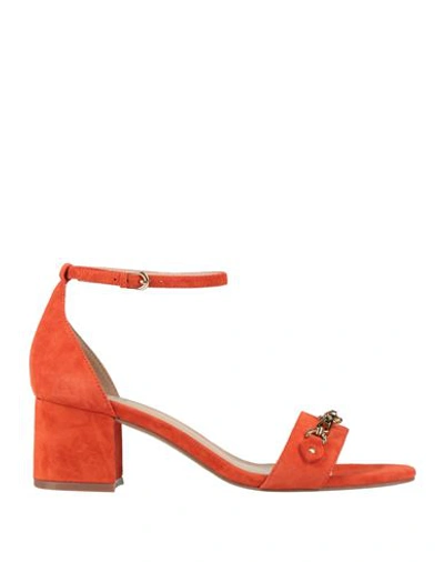 Shop Guess Woman Sandals Orange Size 6 Leather