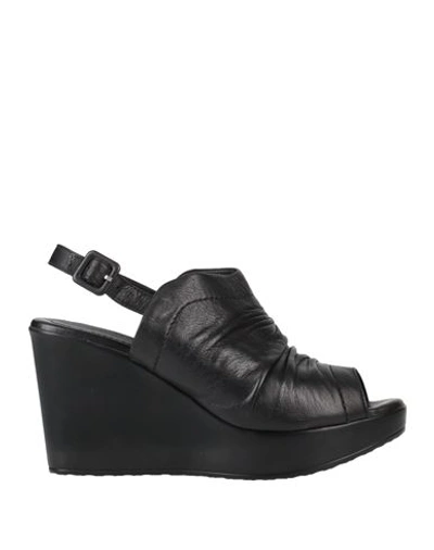 Shop Sofia Mare Woman Sandals Black Size 9 Leather