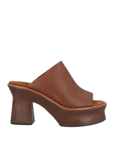 Shop Ferragamo Woman Mules & Clogs Brown Size 6.5 Calfskin