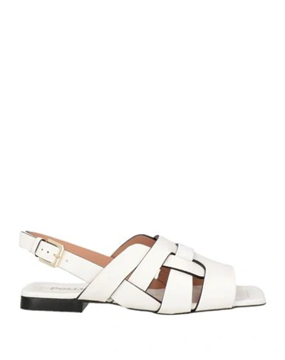 Pollini Woman Sandals White Size 10 Cowhide In White