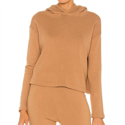 Shop Enza Costa Cropped Hooded Terry Sweatshirt In Brown