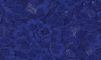 Shop Hanky Panky Signature Lace French Briefs In Midnight Blue