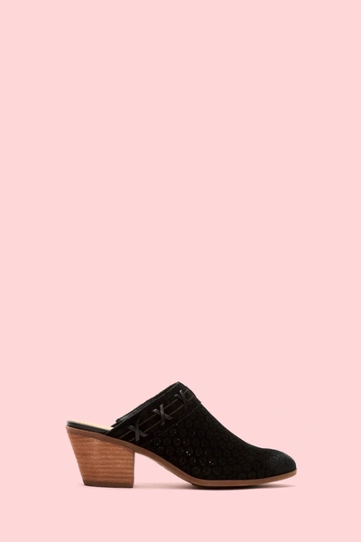 Frye Jacy Perf Mule In Black In Black