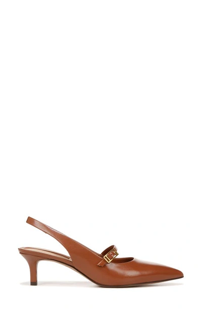 Shop Franco Sarto Khloe Pointed Toe Kitten Heel Pump In Brown