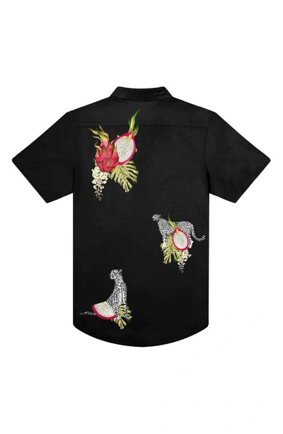 Shop Mavrans Dragon Fruit Waterproof Performance Short Sleeve Button-up Shirt In Black Multi