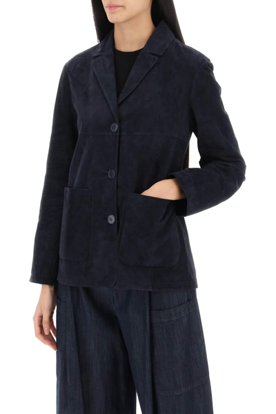 Shop 's Max Mara Perry Jacket In Suede Leather In Blue